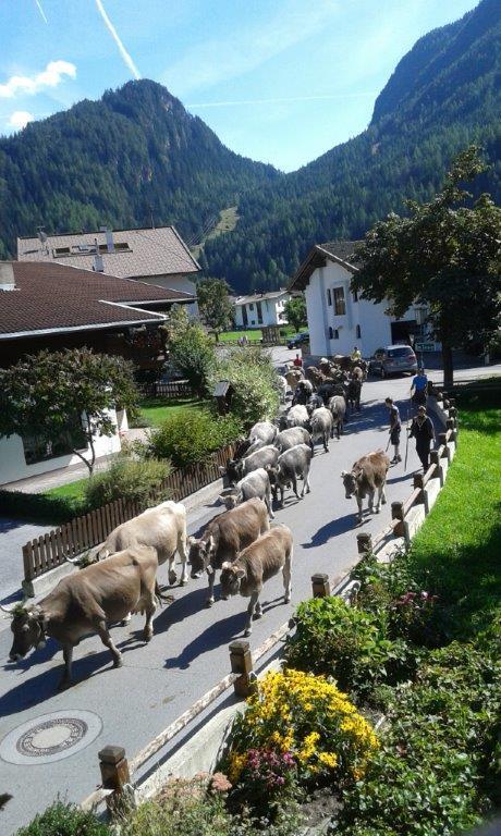 Haus Stefan Villa Langenfeld Bagian luar foto